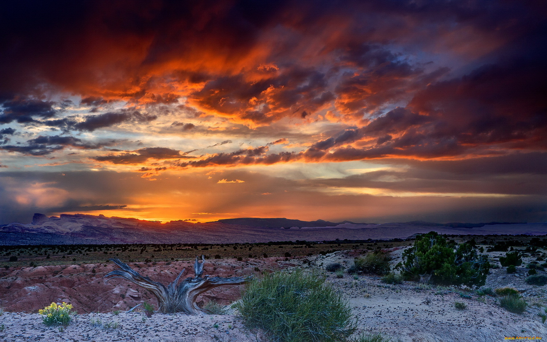 sunset, , , , , , , 